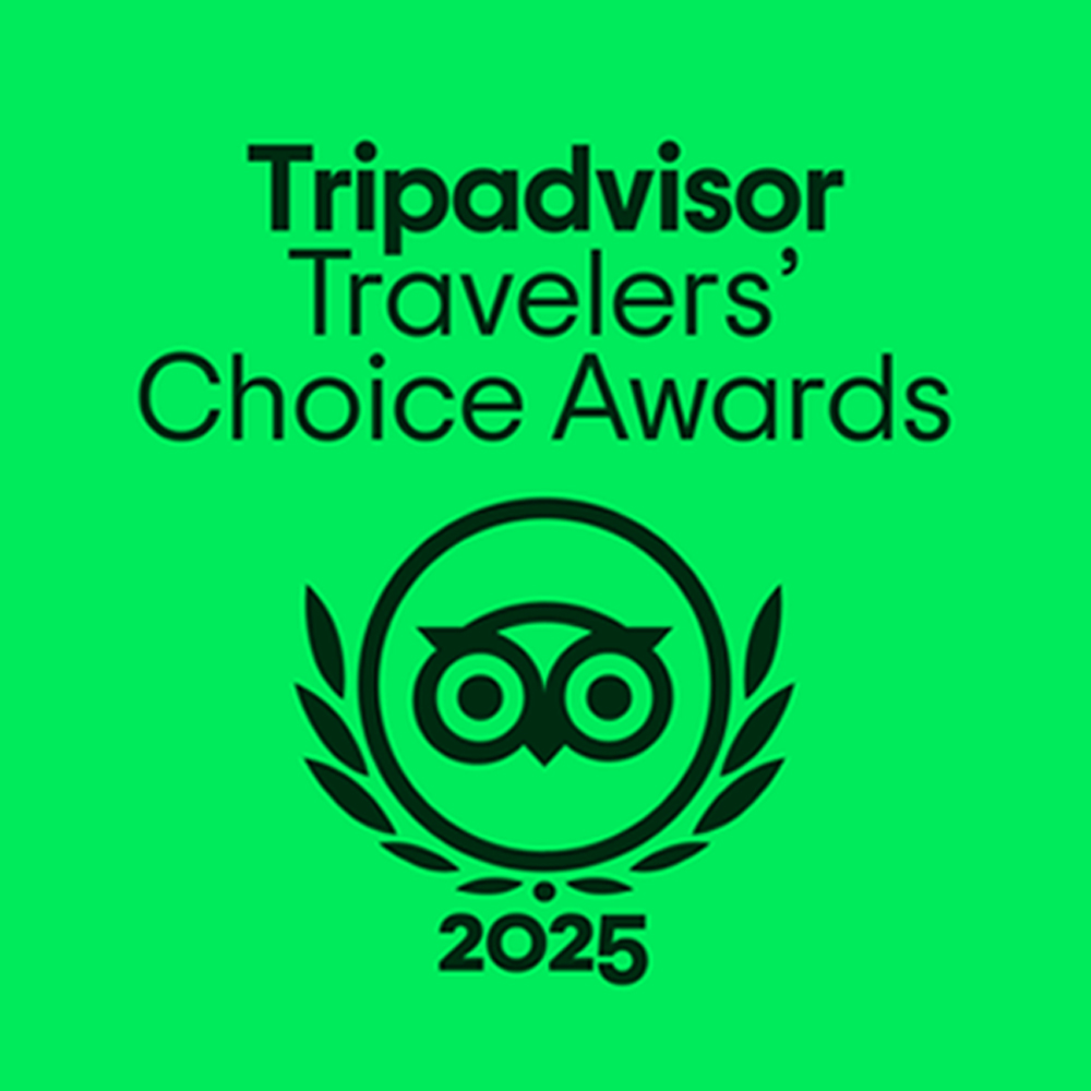 trip advisor 2025